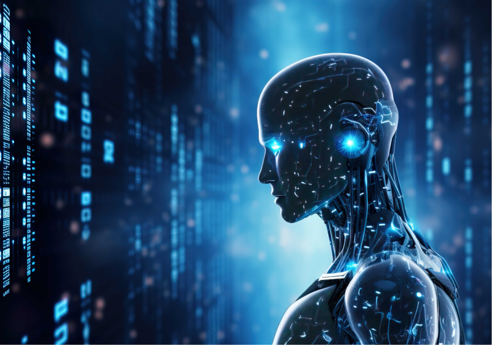 The Solution: Roko AI Dashboard